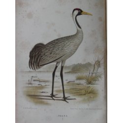 Svenska J&auml;garaf&ouml;rbundets Nya Tidskrift