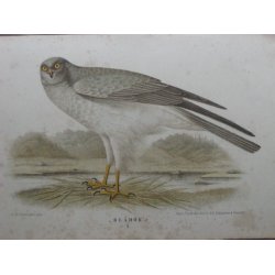 Svenska J&auml;garaf&ouml;rbundets Nya Tidskrift