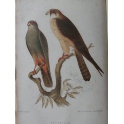 Svenska J&auml;garaf&ouml;rbundets Nya Tidskrift