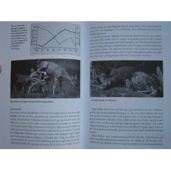 P vildtets vilkr - jagten i nutid og fremtid