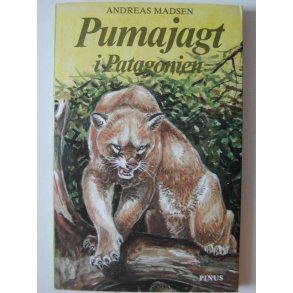 Pumajagt i Patagonien