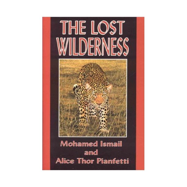 The Lost Wilderness