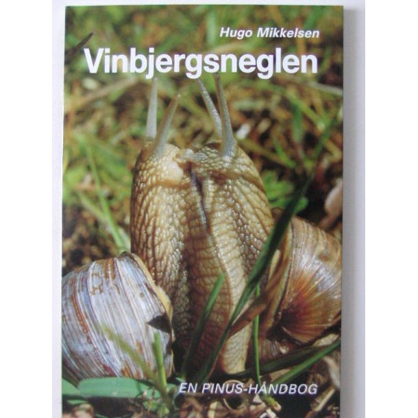 Vinbjergsneglen