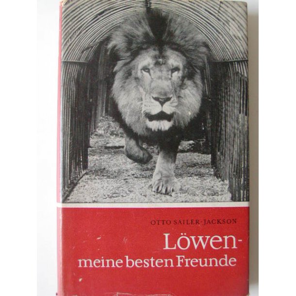 L&ouml;wen - meine besten Freunde