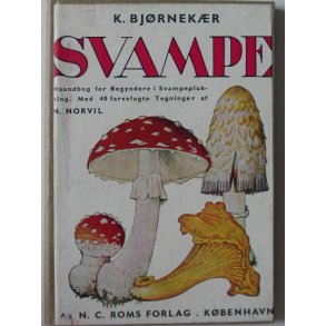 Svampe