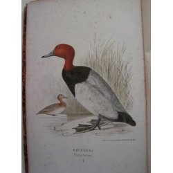 Svenska J&auml;garef&ouml;rbundets nya tidsskrift