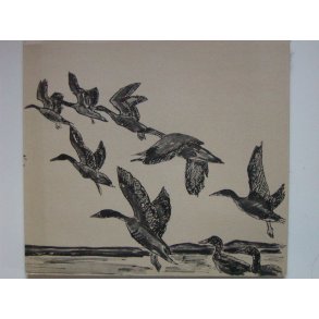 Fra Mark og Skov og Lyngens brune Land (Uddrag)