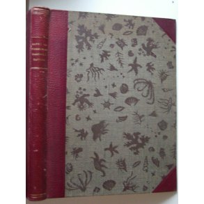 Havet og fiskerierne