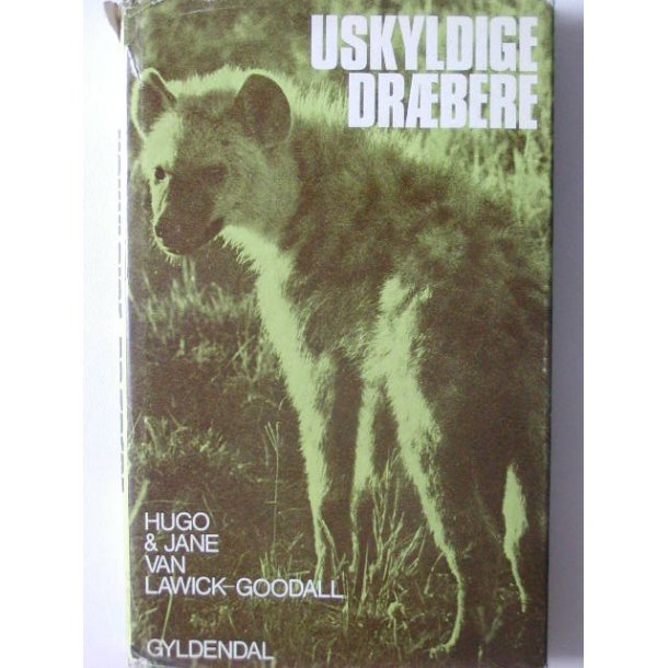 Uskyldige drbere