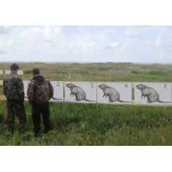 Bver i naturlig strrelse 