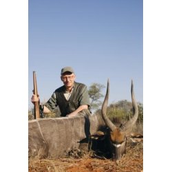 Fucking kunst - og 13 andre jagtberetninger