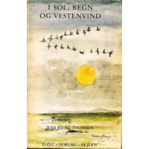 I sol, regn og vestenvind (2. udg.)