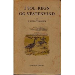 I sol, regn og vestenvind (1. udg.)