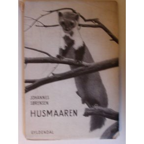 Husmaaren