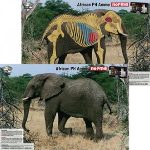 The Perfect Shot Big 5-skydeskiver - elefant, nsehorn, bffel, lve, leopard