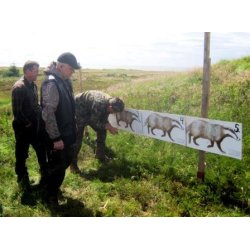 Grvling i naturlig strrelse