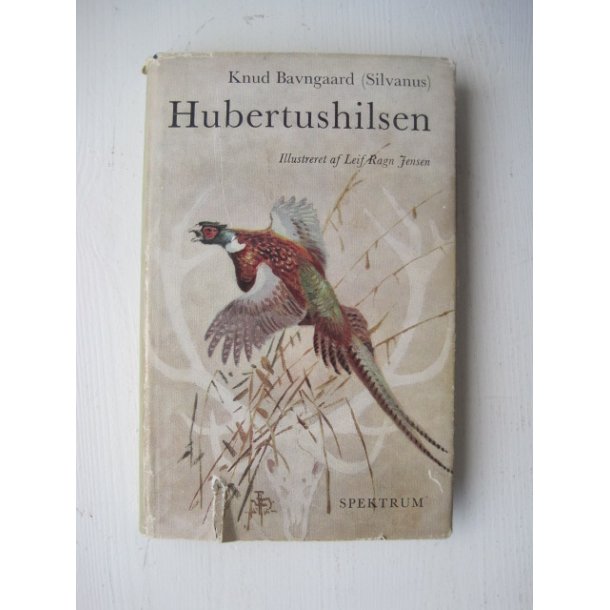 Hubertushilsen (indb.)