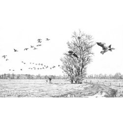 Nr gssene trkker - erindringer om jagt- og naturoplevelser