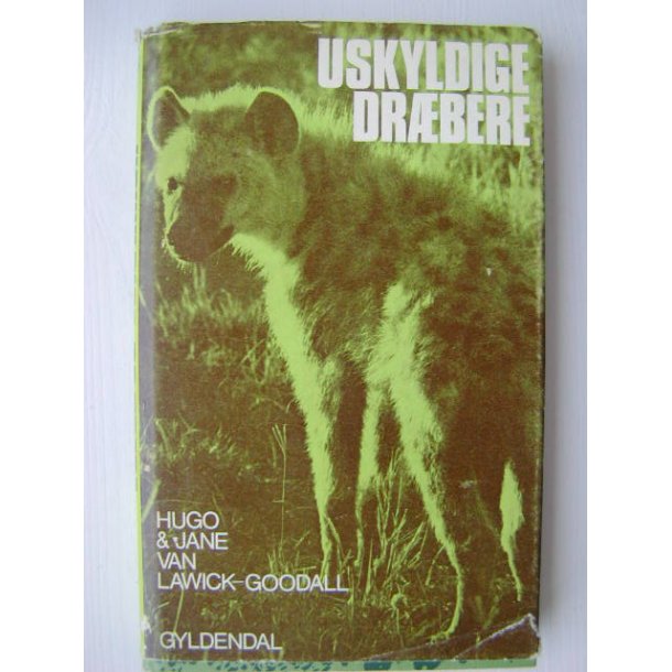 Uskyldige drbere