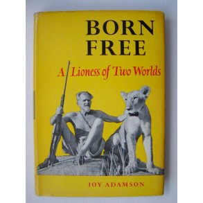 Born Free - A Lioness of Two Worlds