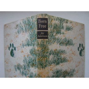 Born Free - A Lioness of Two Worlds