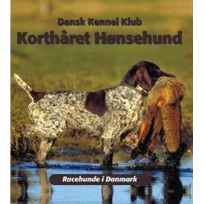 Korthret Hnsehund (DKK)