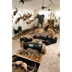 Great Hunters 5. Their Trophy Rooms &amp; Collections