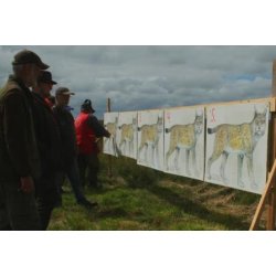 Los i naturlig strrelse