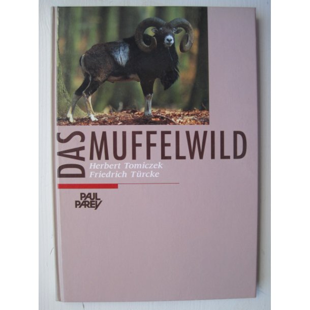 Das Muffelwild