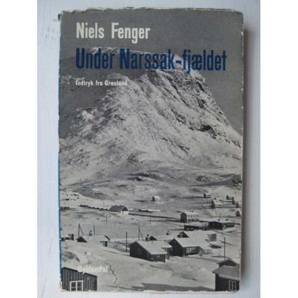 Under Narssak-fjldet