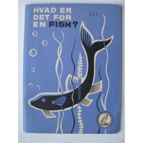 Hvad er det for en fisk?