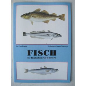Fisch in dänischen Gewässern