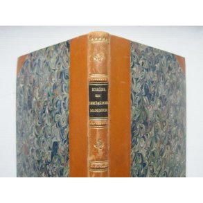 En timmermärkares minnen