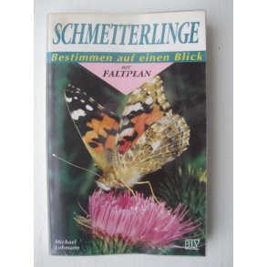 Schmetterlinge - Bestimmen auf einen Blick