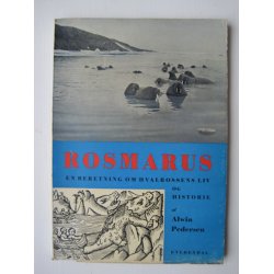 Rosmarus - hvalrossens liv og historie