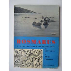 Rosmarus - hvalrossens liv og historie