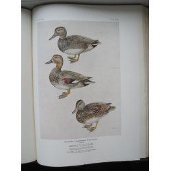 Danmarks Fugle - Andefugle I og II