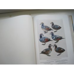 Danmarks Fugle - Andefugle I og II