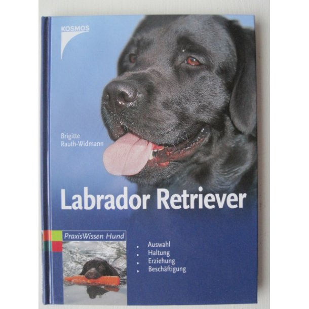 Labrador Retriever