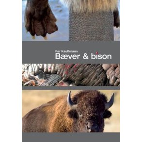 Bver og bison