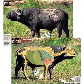 The Perfect Shot bffel-skive     FULD STRRELSE