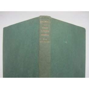 Animals of East Africa