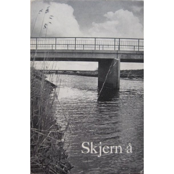 Skjern 