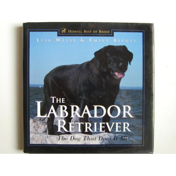The Labrador Retriever, the Dog that Does it All