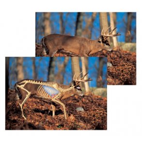 The Perfect Shot virginiahjort/whitetail, pk. m. 5