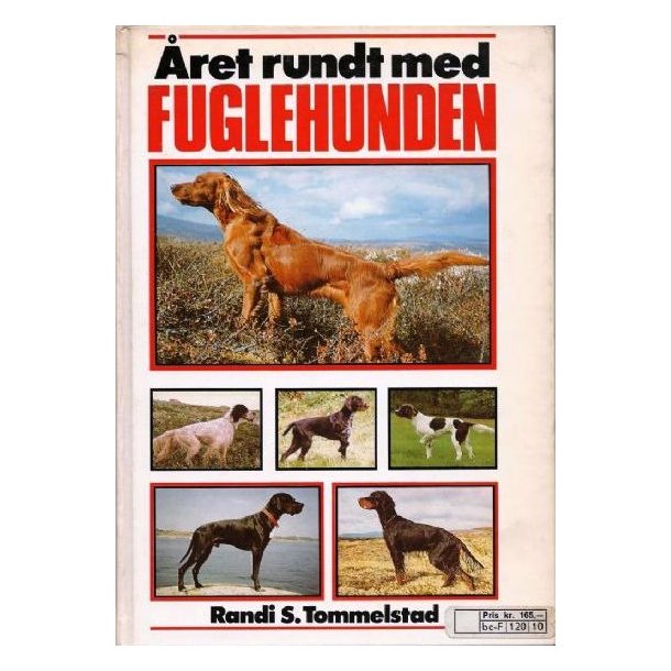 ret rundt med fuglehunden