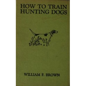 How To Train Hunting Dogs