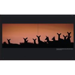 Forsvaret og naturen