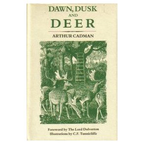 Dawn, Dusk and Deer