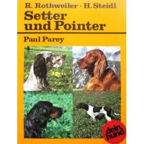Setter und Pointer